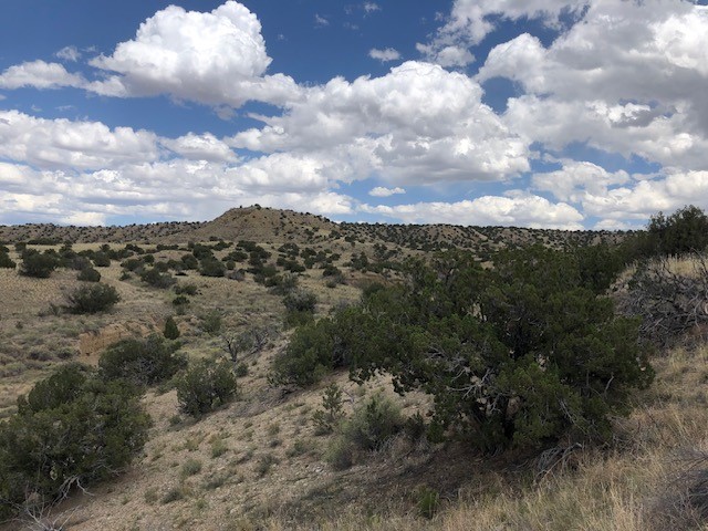 460 Camino Cerro Chato