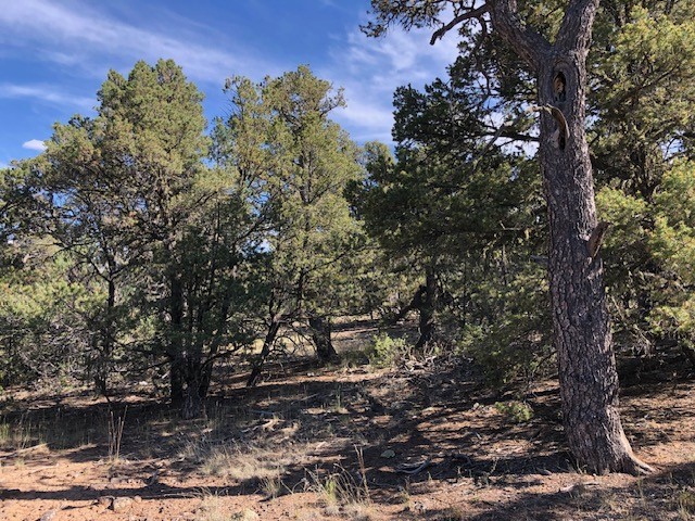 0.24 Acre Portion of Lot 70