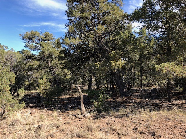 0.24 Acre Portion of Lot 70