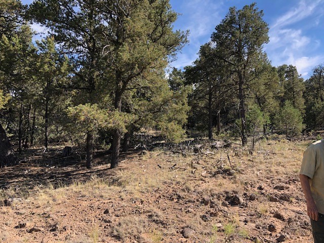 0.24 Acre Portion of Lot 70