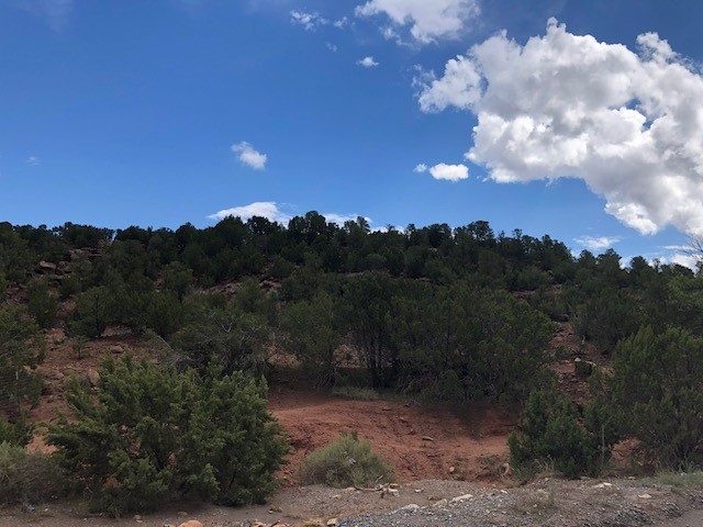 12.15 Acres CR B41A