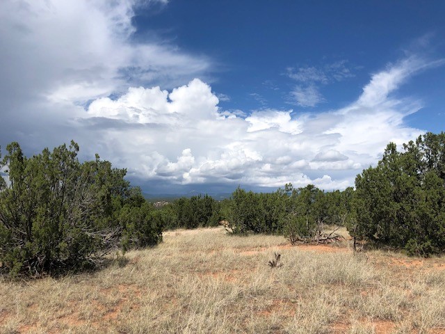 12.15 Acres CR B41A