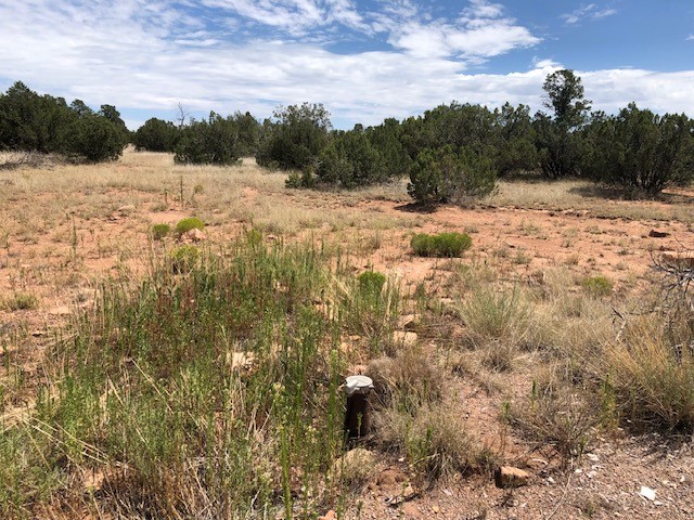 12.15 Acres CR B41A