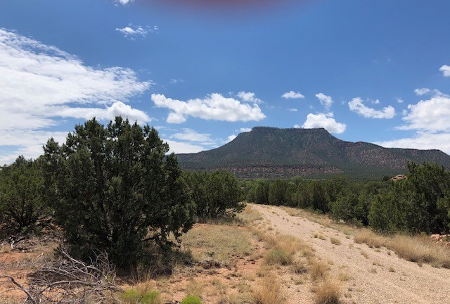 12.15 Acres CR B41A