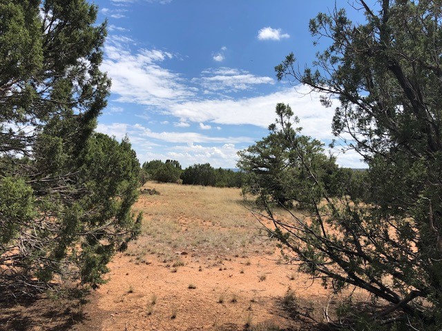 12.15 Acres CR B41A
