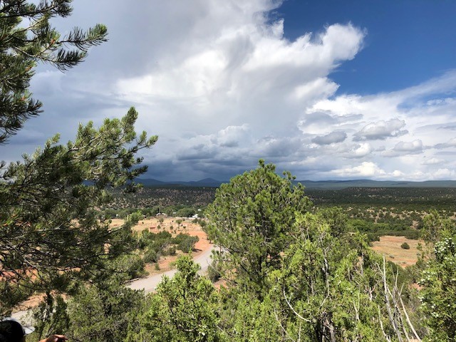 12.15 Acres CR B41A