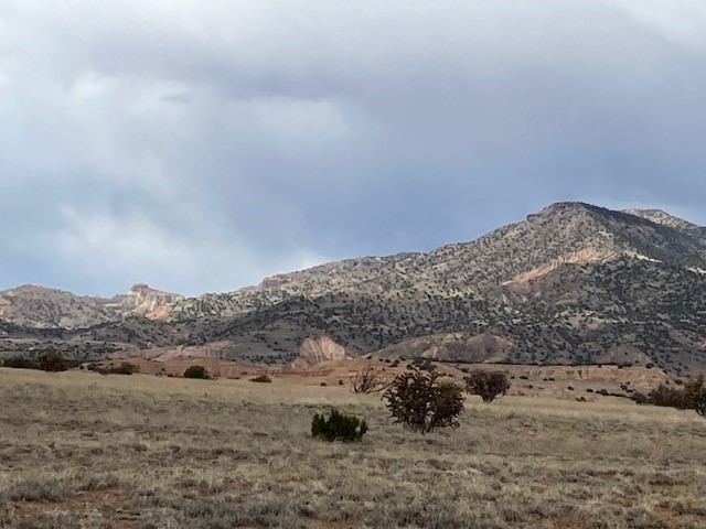 1 Acre Read Bluff Road
