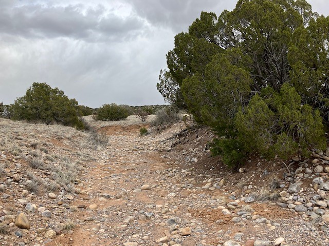1 Acre Read Bluff Road