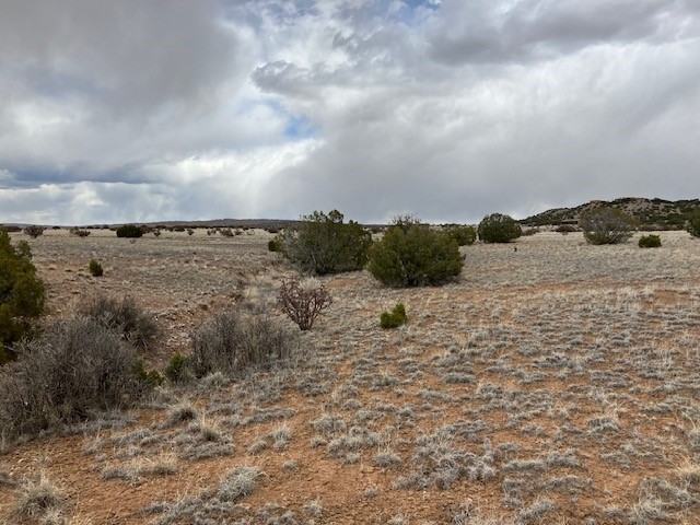 1 Acre Read Bluff Road