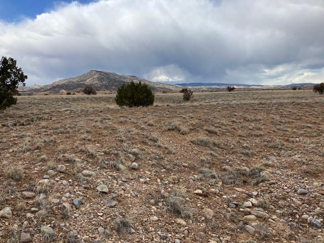 1 Acre Read Bluff Road