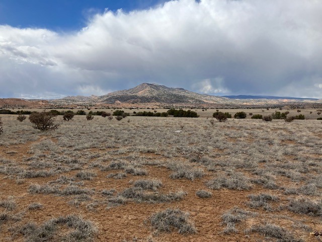 1 Acre Read Bluff Road