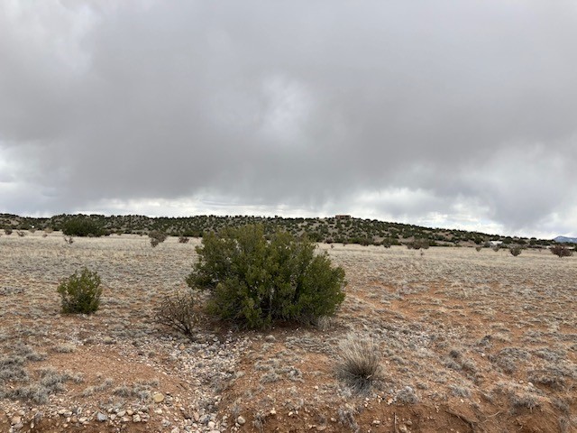 1 Acre Read Bluff Road