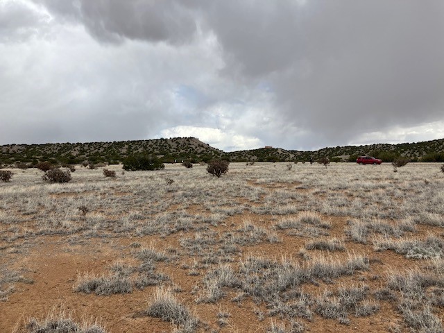 1 Acre Read Bluff Road