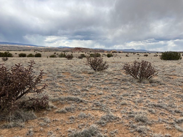 1 Acre Read Bluff Road