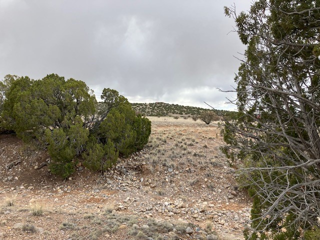 1 Acre Read Bluff Road