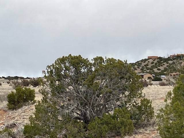 1 Acre Read Bluff Road