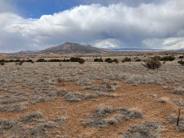 1 Acre Read Bluff Road