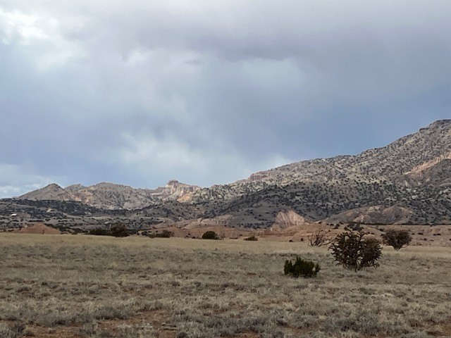 1 Acre Read Bluff Road