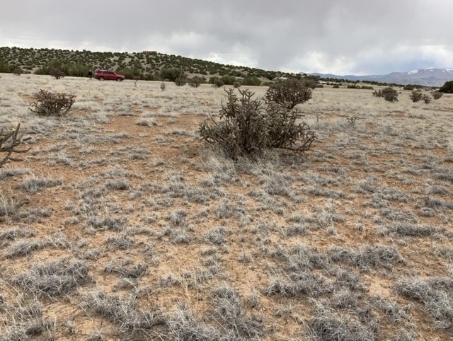 1 Acre Read Bluff Road