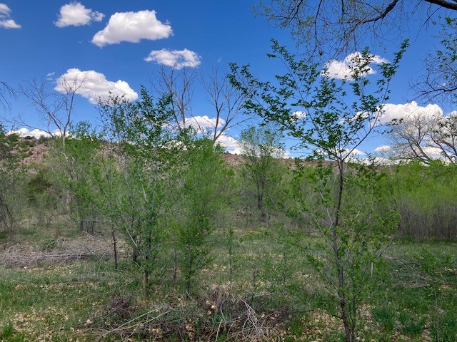 9 County Road B45C