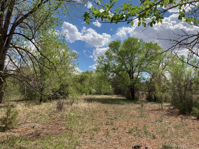 9 County Road B45C