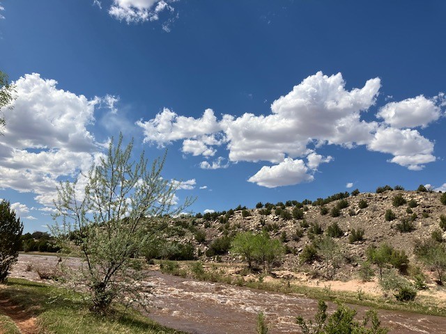 9 County Road B45C