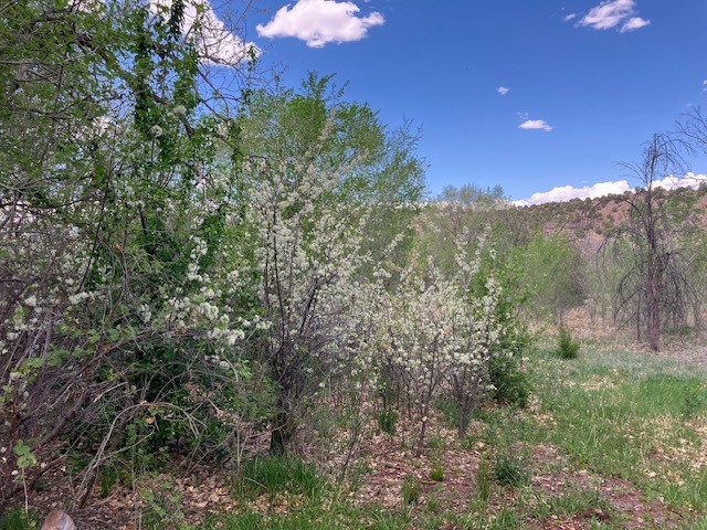 9 County Road B45C