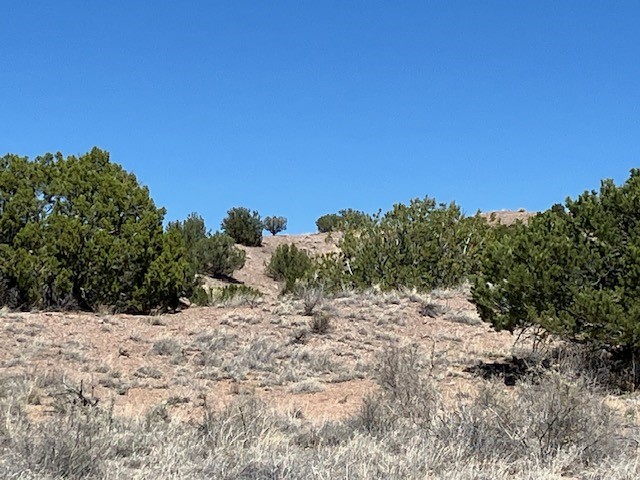 Tract 10B Green Meadows Drive