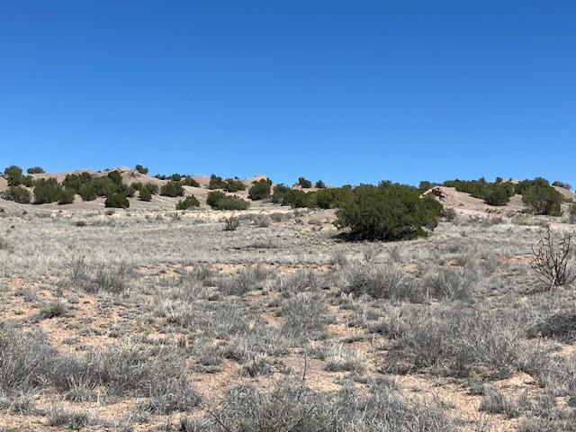 Tract 10B Green Meadows Drive