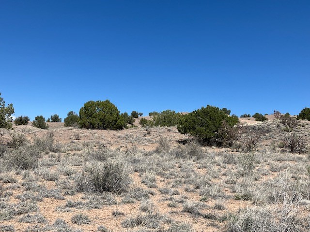 Tract 10B Green Meadows Drive