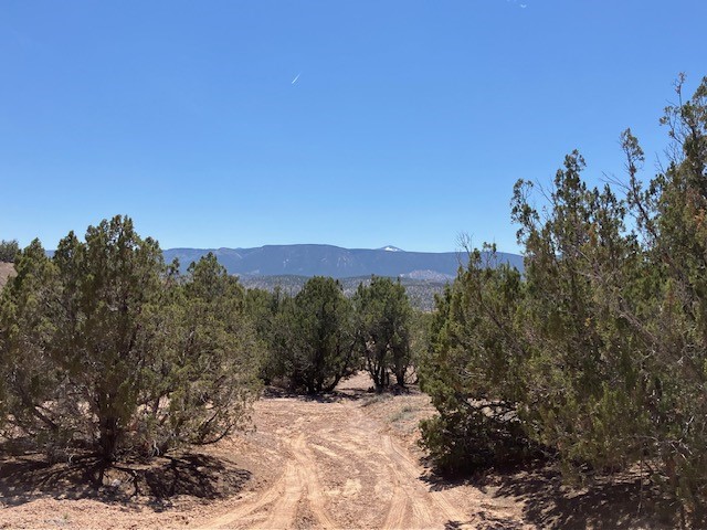 Tract 10B Green Meadows Drive