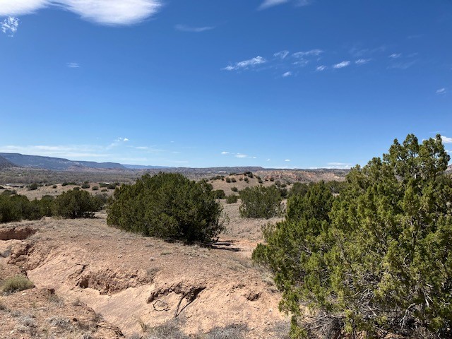 Tract 10B Green Meadows Drive