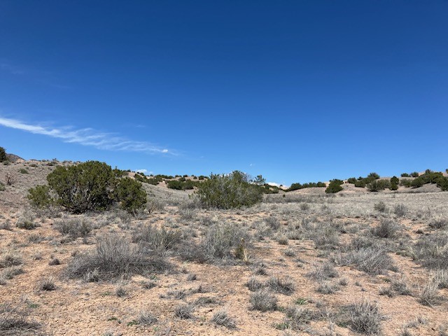 Tract 10B Green Meadows Drive