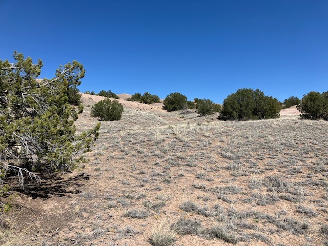 Tract 10B Green Meadows Drive