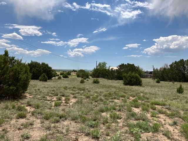 Lots 18-22 Shea Avenue