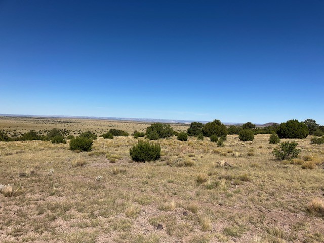 Lots 2&5 78.36 acres
