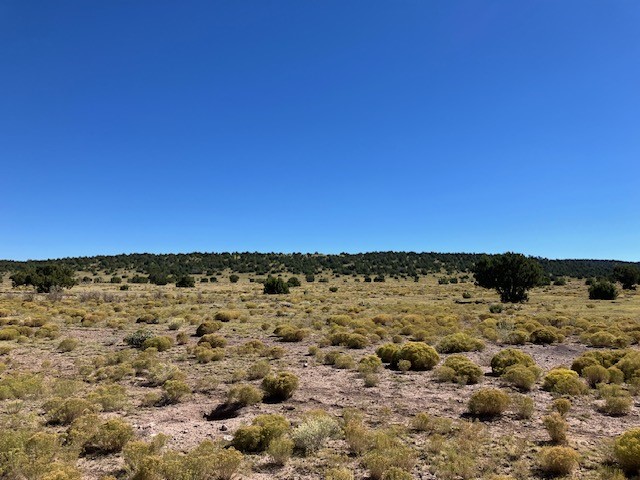 Lots 2&5 78.36 acres