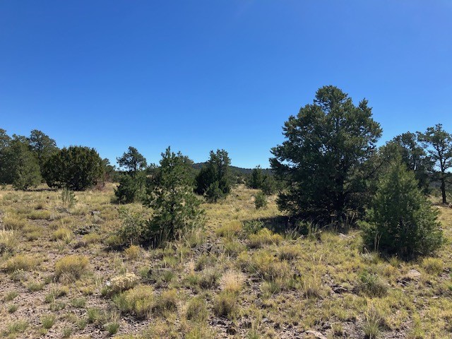 Lots 2&5 78.36 acres