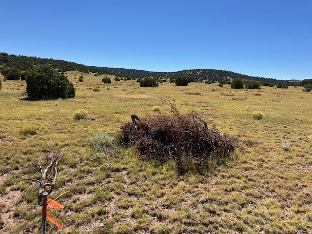 Lots 2&5 78.36 acres