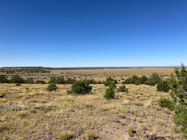 Lots 2&5 78.36 acres