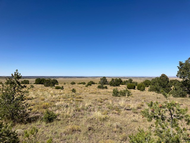 Lots 2&5 78.36 acres
