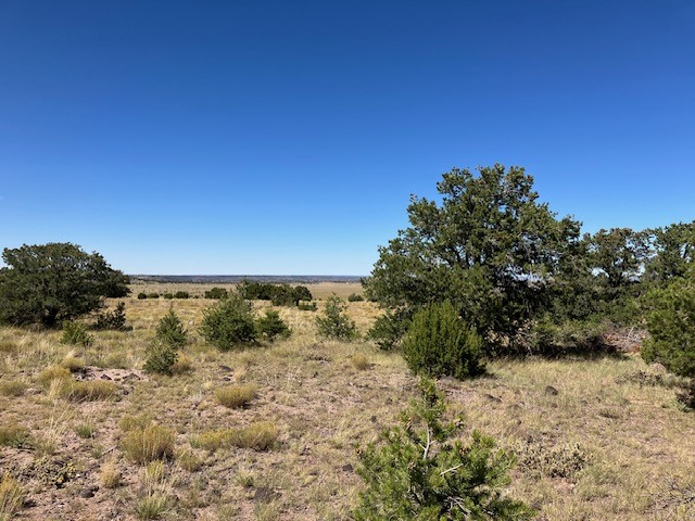 Lots 2&5 78.36 acres