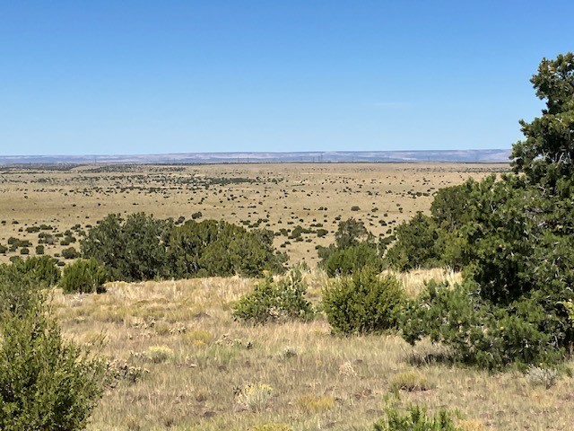 Lots 2&5 78.36 acres