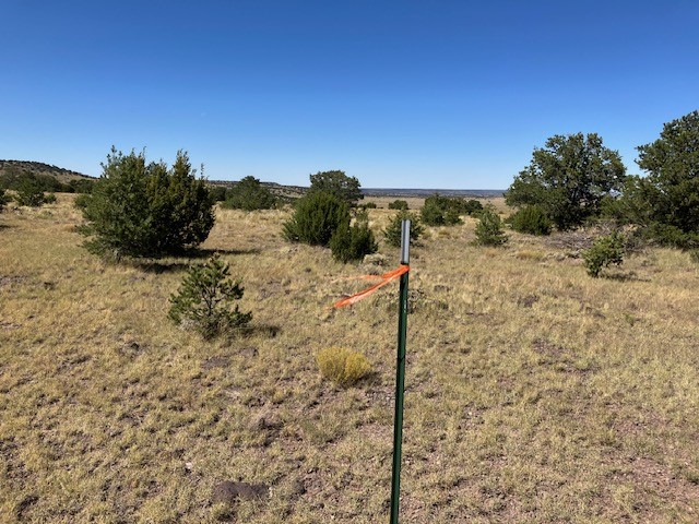 Lots 2&5 78.36 acres