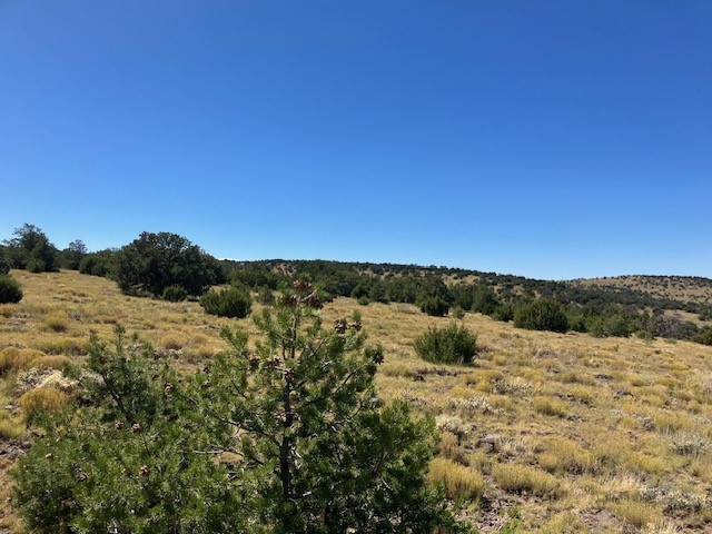 Lots 2&5 78.36 acres