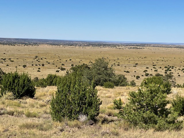 Lots 2&5 78.36 acres