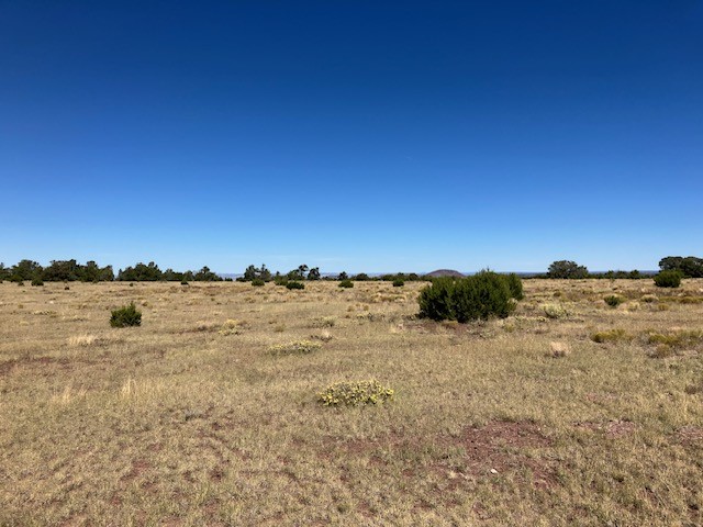 Lots 2&5 78.36 acres