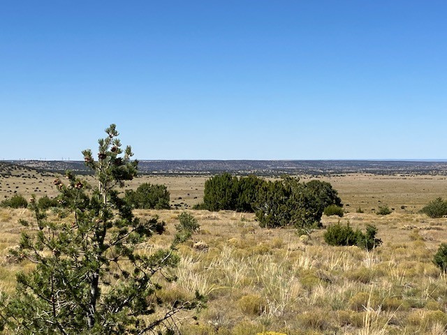 Lots 2&5 78.36 acres