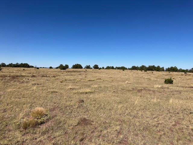 Lots 2&5 78.36 acres