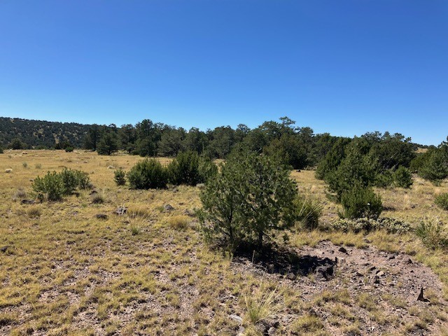 Lots 2&5 78.36 acres